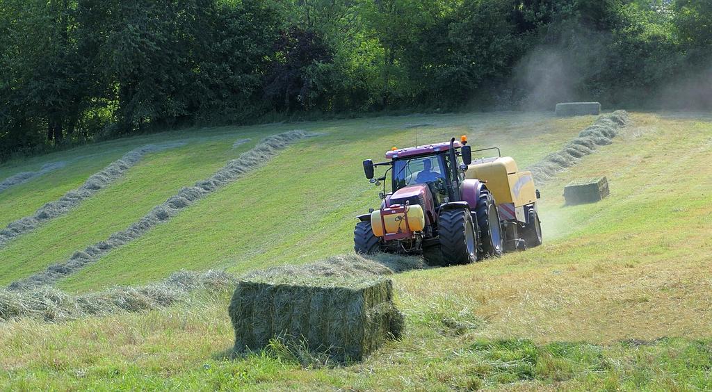 Illustration of OS boot process